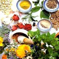 HERBAL NUTRITION PRODUCTS IN PATNA