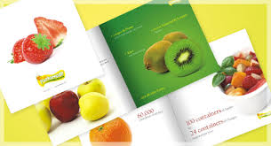 MULTI COLOUR OFFSET PRINTING SERVICES IN RANCHI