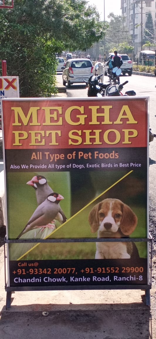 PET Food shop in Ranchi