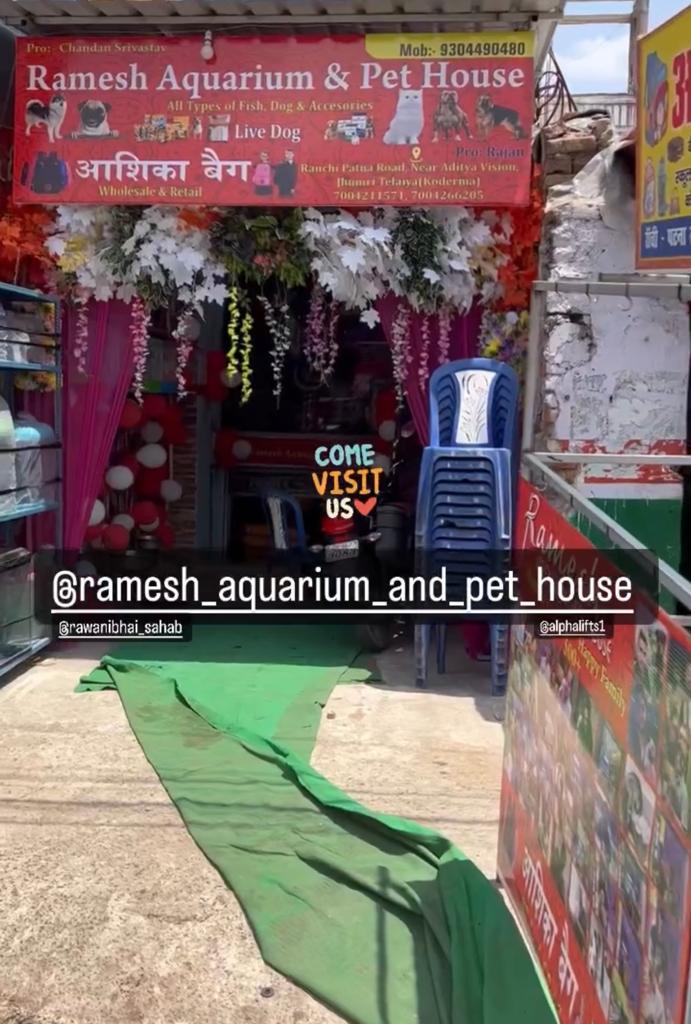 Aquarium and Pet Shop near Bagodar