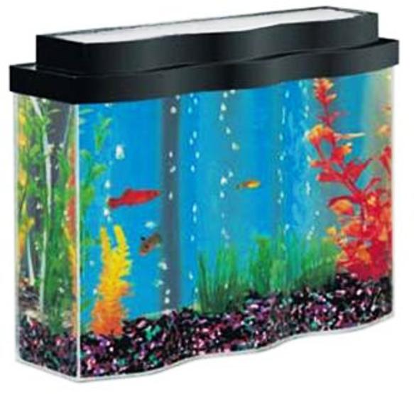 best fish aquarium aquarium shop