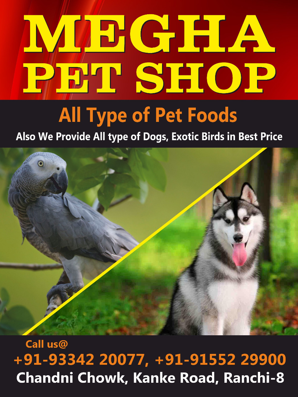 Pet Shop in Ranchi