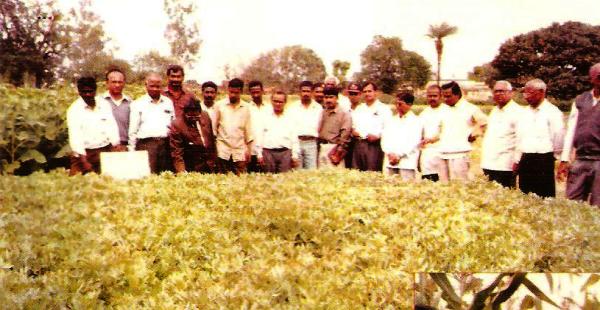 AGRICULTURE NGO IN BIHAR