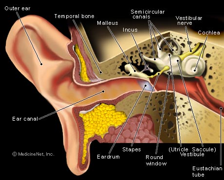 EAR TREATMENT IN PATNA