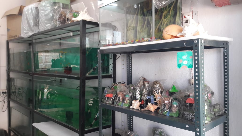 Best Aquarium shop near Harmu ranchi