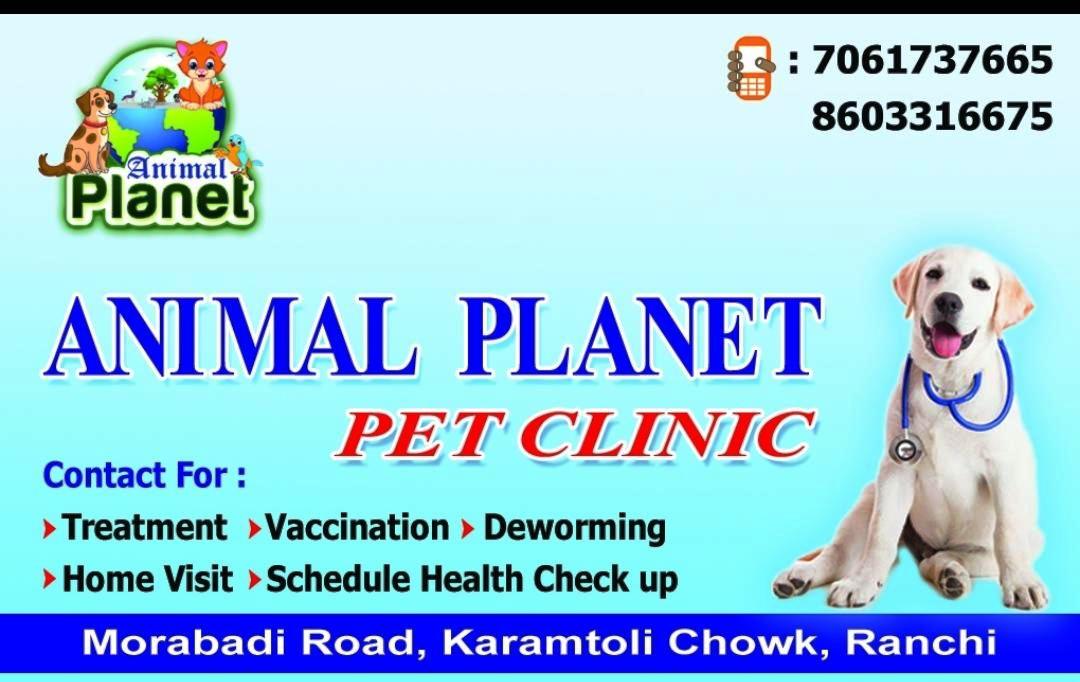 PET DOCTOR KARAMTOLI CHOWK IN RANCHI | ANIMAL PLANET PET CLINIC