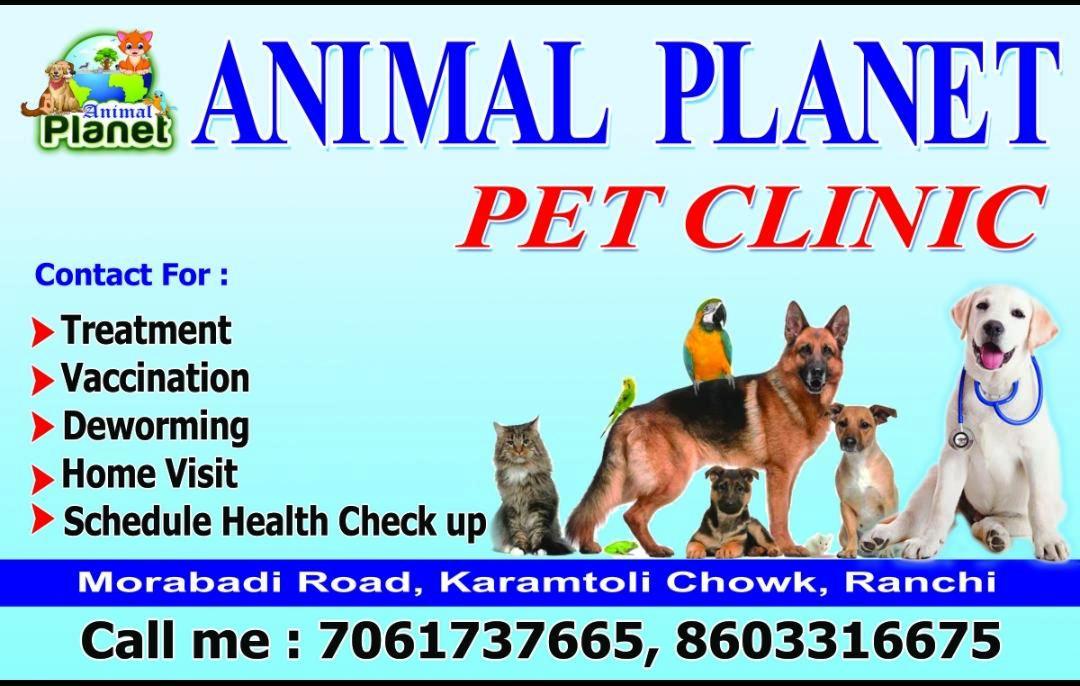 ALL TYPE PET MEDICINE SHOP NEAR LALPUR RANCHI | ANIMAL PLANET PET CLINIC