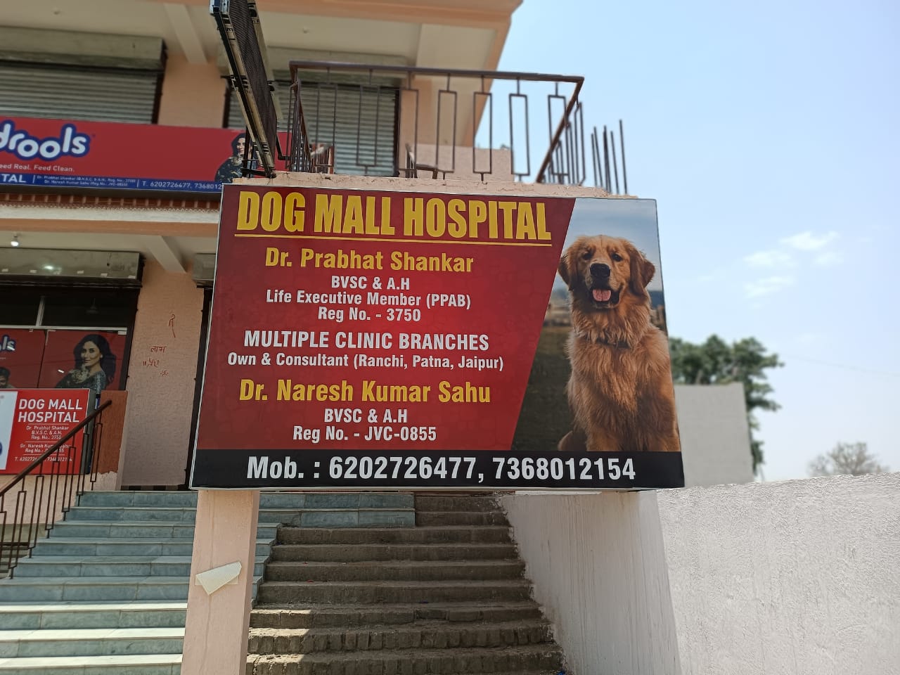 Pet clinic near piska more Ranchi