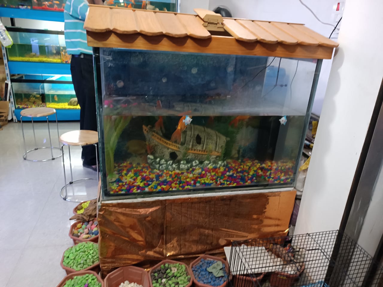 Aquarium shop near block chowk ratu in Ranchi