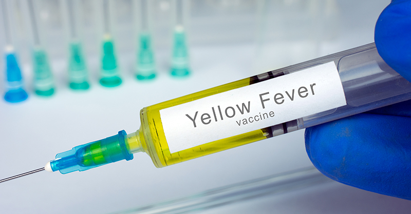 YELLOW FEVER DRUGS IN RANCHI